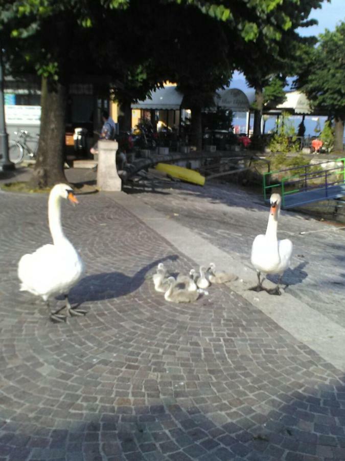 Il Guscio Hotel Baveno Exterior photo